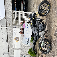 Paulo César Moreira dos Santos César